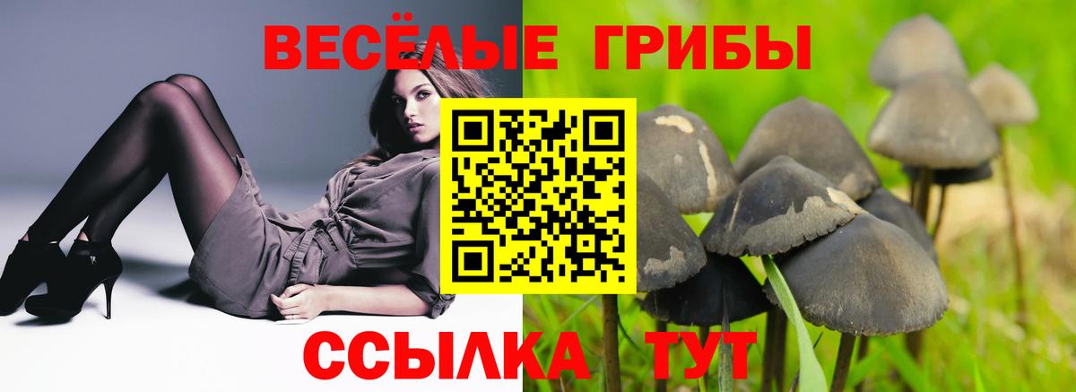 Галлюциногенные грибы GOLDEN TEACHER  как найти   Евпатория  Вход с VPN 